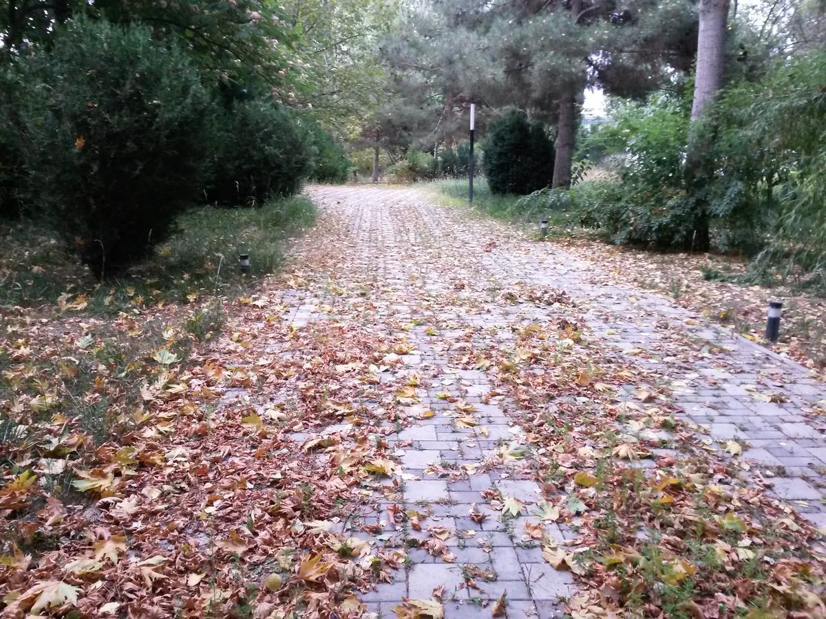 Sheki Olimpiya Hotel & Resort Extérieur photo