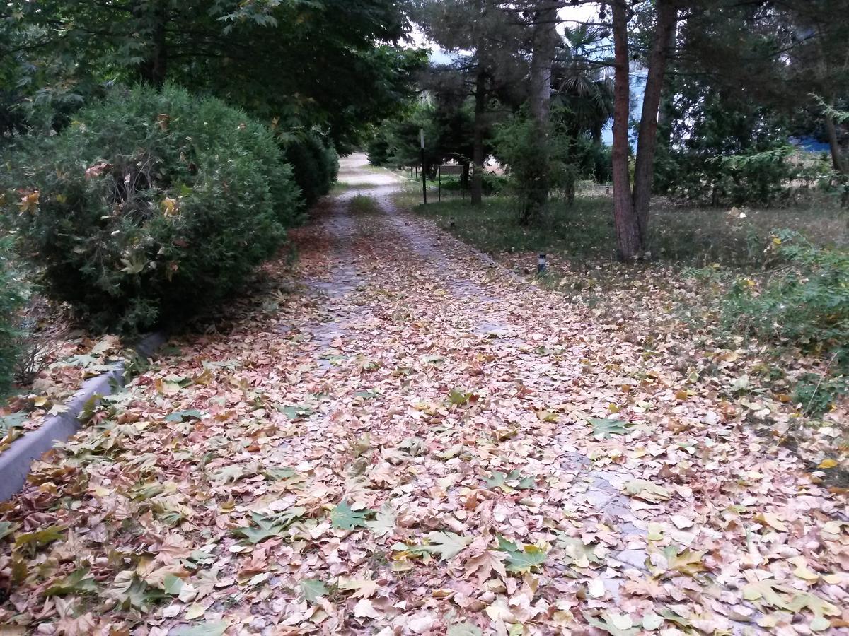 Sheki Olimpiya Hotel & Resort Extérieur photo