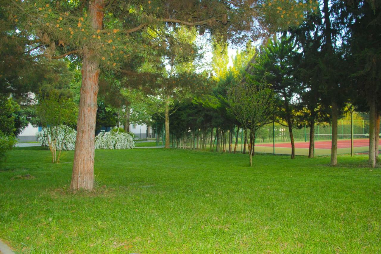 Sheki Olimpiya Hotel & Resort Extérieur photo