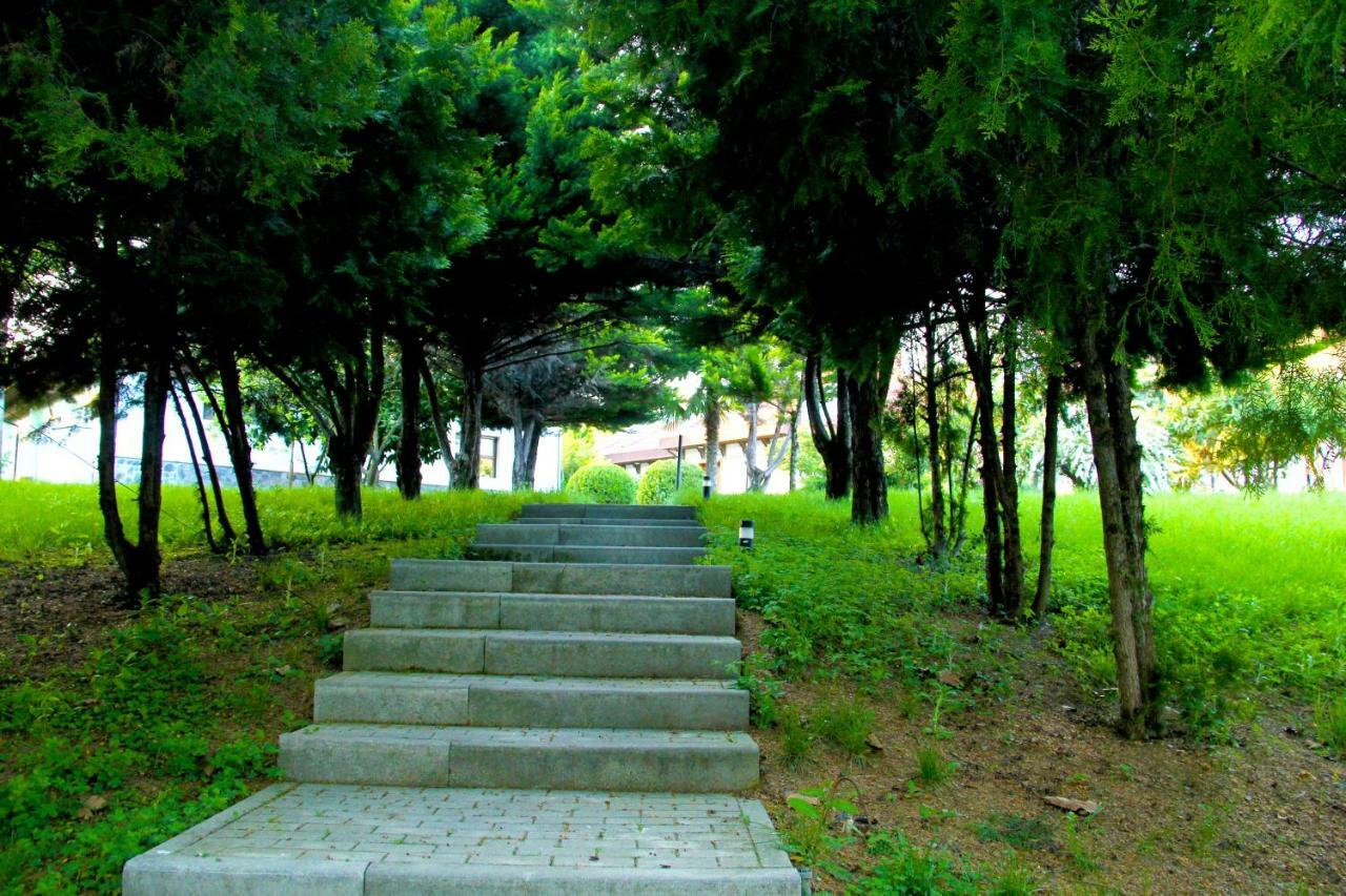 Sheki Olimpiya Hotel & Resort Extérieur photo